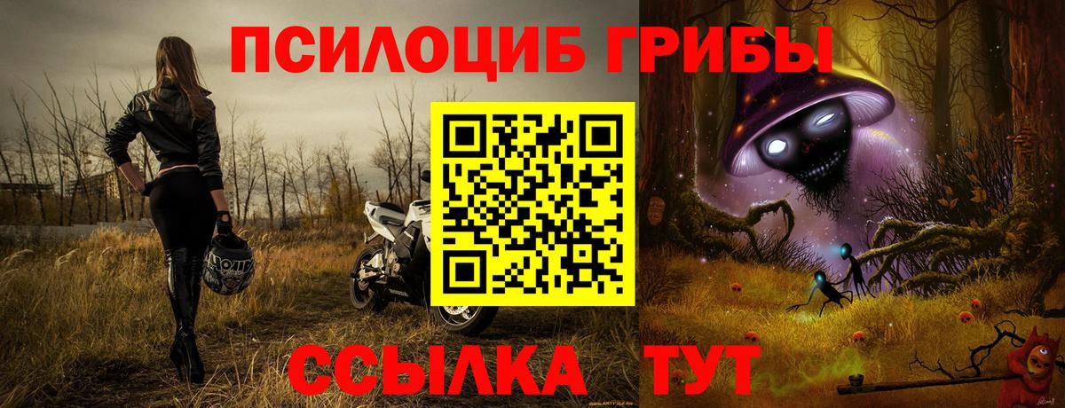 Нижний Новгород  где можно купить наркотик  Вход с VPN  Галлюциногенные грибы ЛСД  Галлюциногенные грибы MAGIC MUSHROOMS 